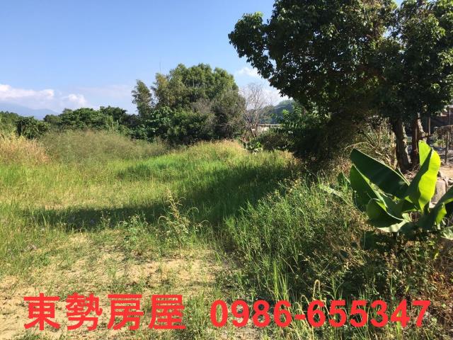 石岡農地-10