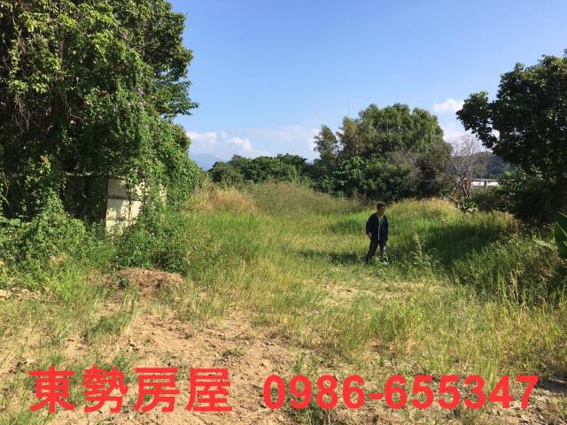 石岡農地-8