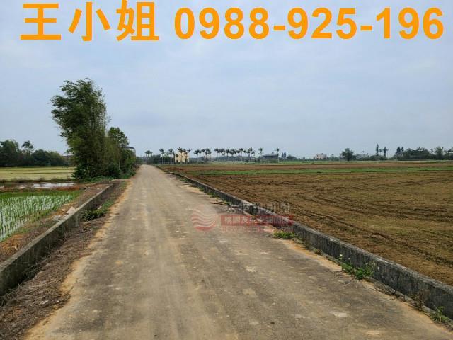 桃園農地-2