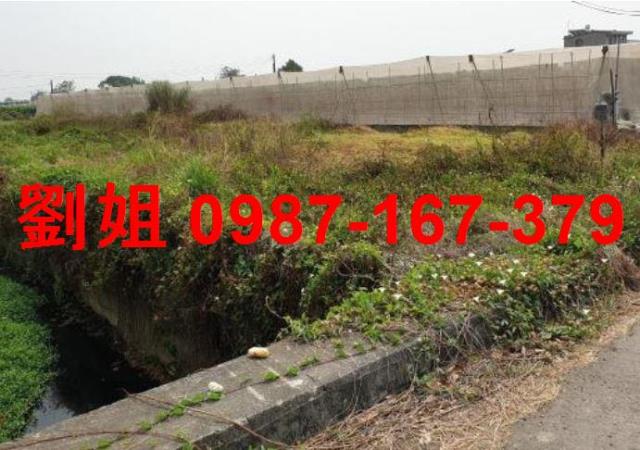 高雄大樹農地-2