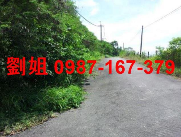 高雄燕巢農地-1