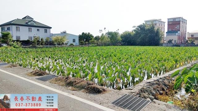 苗栗農地-1