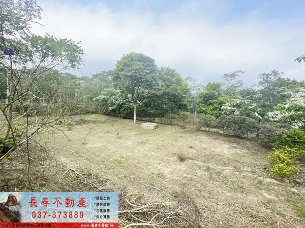 苗栗農地-1