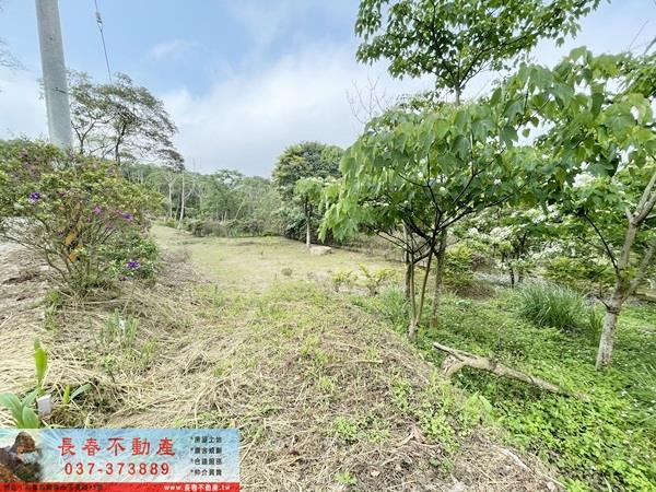 苗栗農地-2