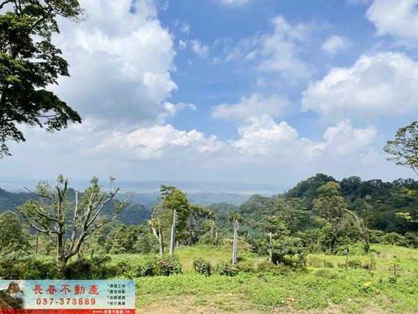 苗栗農地-8
