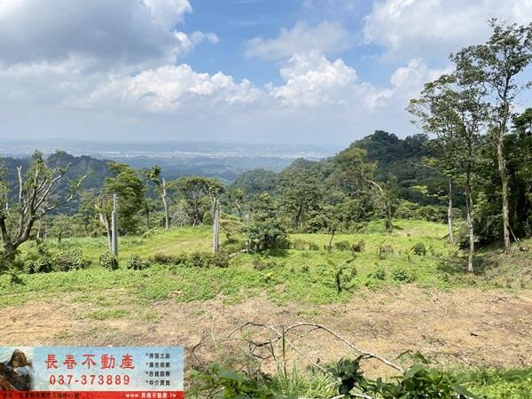苗栗農地-9