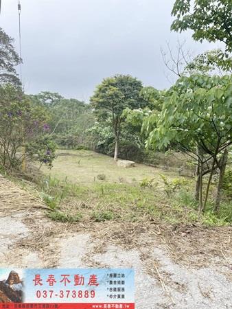 苗栗農地-4