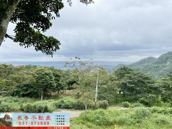 苗栗農地-10