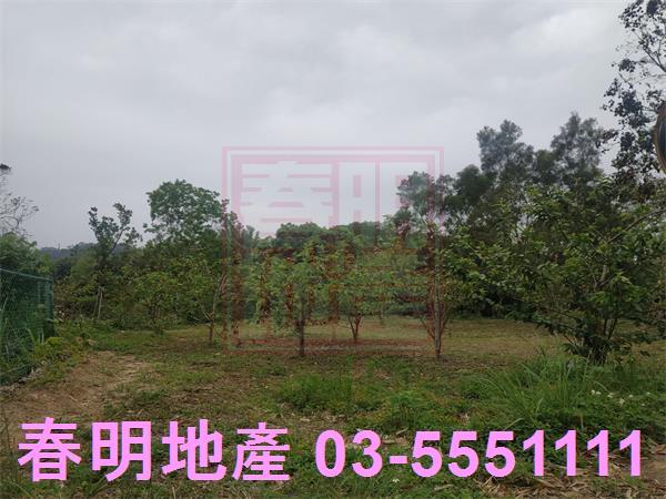 峨眉農地-3