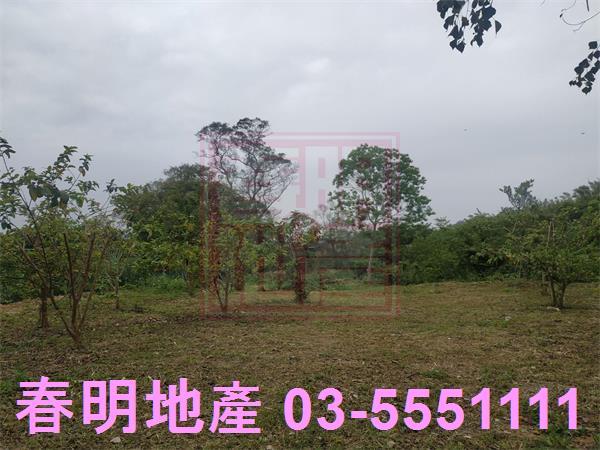 峨眉農地-6