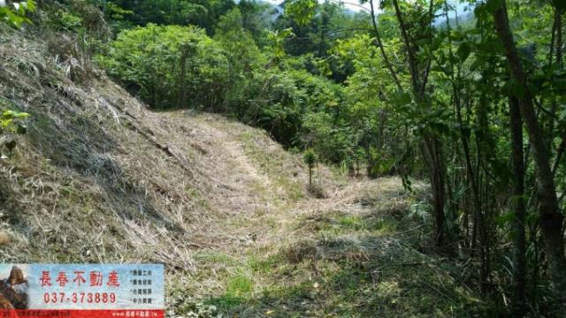 公館山坡地-2