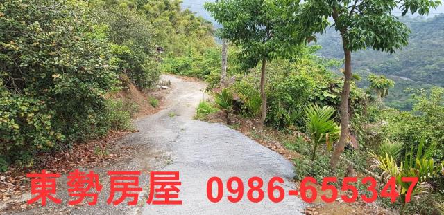 新社農地-1