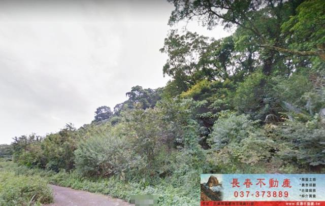 苗栗山坡地-2