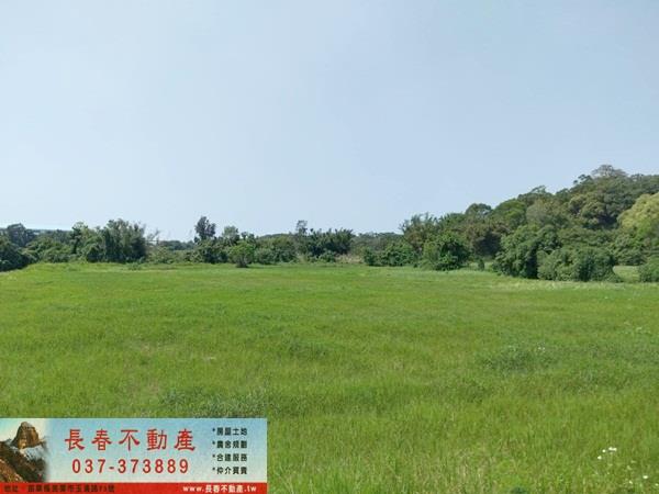 造橋農地-2