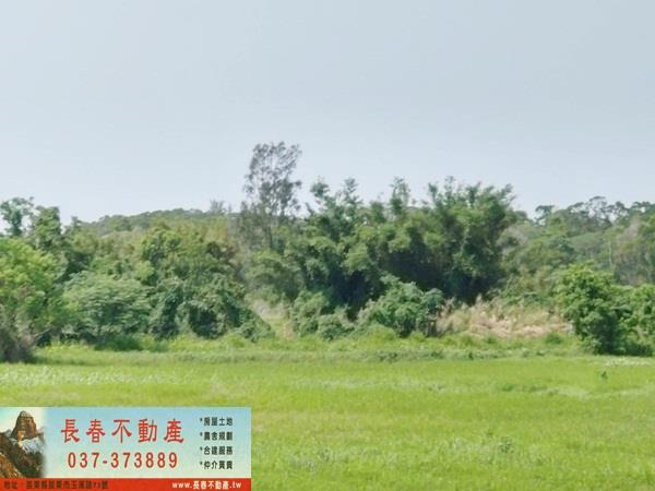 造橋農地-3