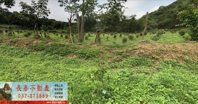 造橋農地-1