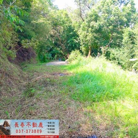 頭屋農地-1