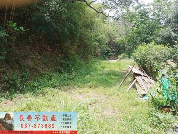 頭屋農地-3