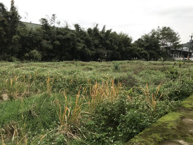 龜山農地-4