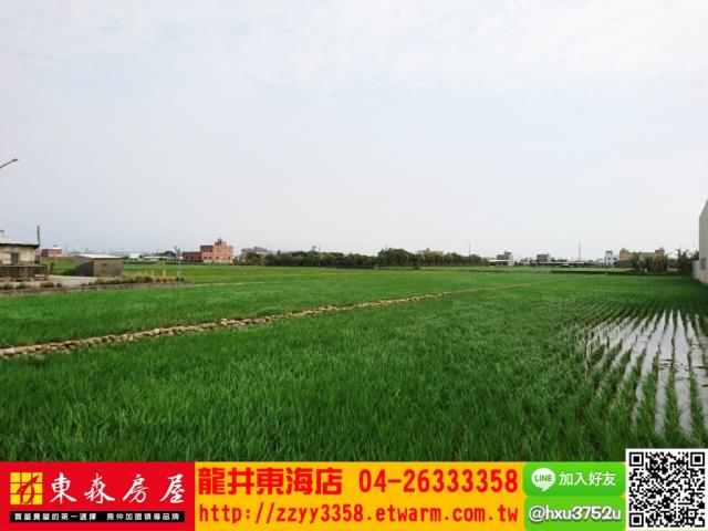 台中大甲農地-3