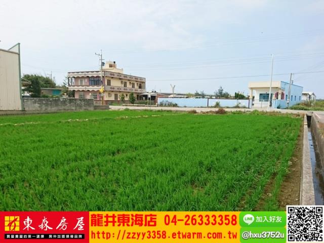 台中大甲農地-5