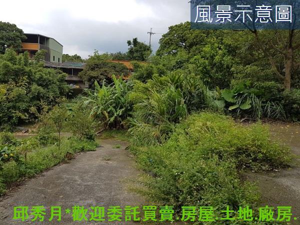 三芝農地-5