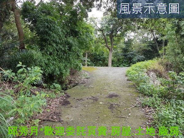 三芝農地-6