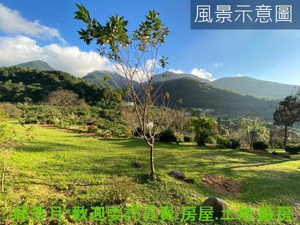 三芝農地-1