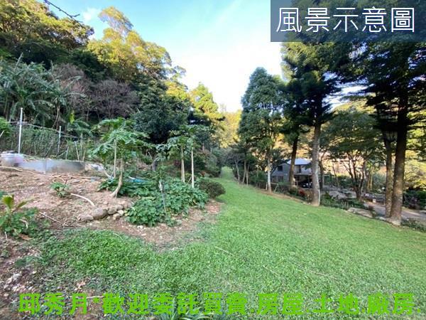三芝農地-4