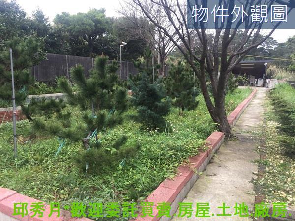 三芝農地-12