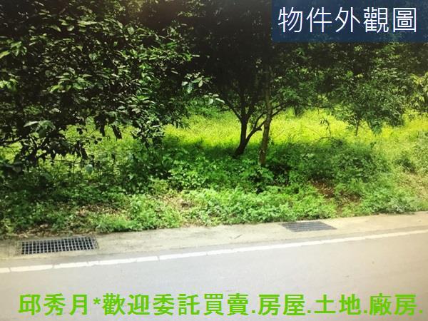 新北農地-1
