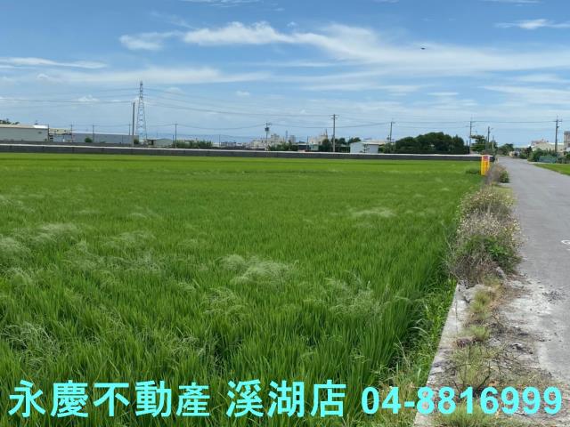 福興農地-4