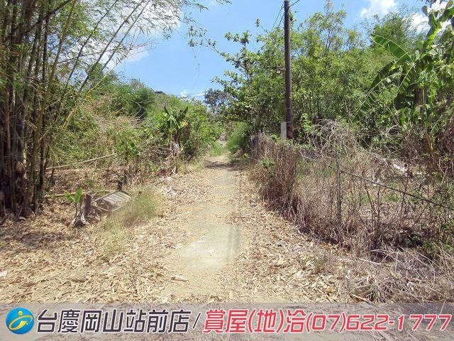 燕巢農地-10