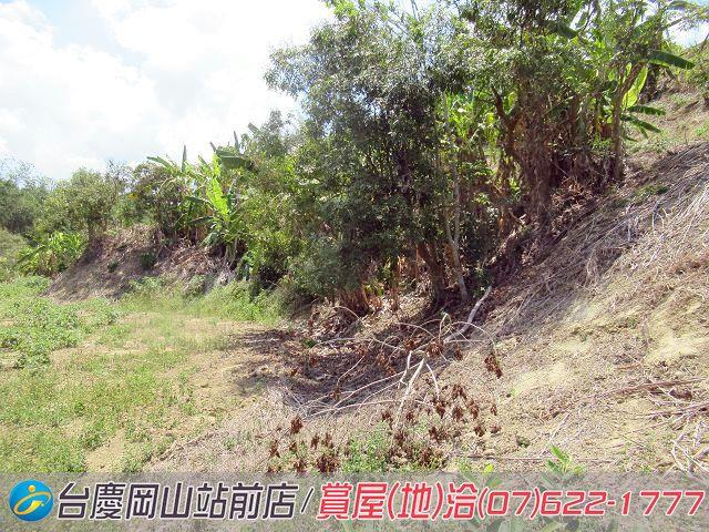 燕巢農地-11