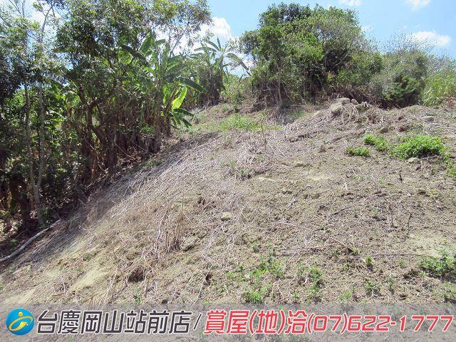 燕巢農地-12