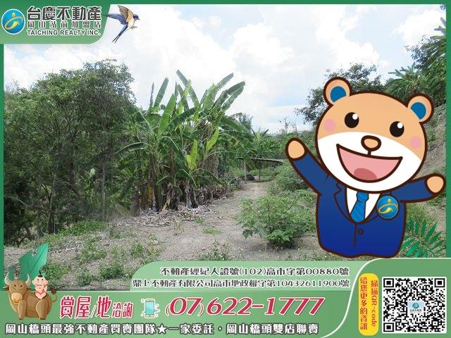 燕巢農地-1