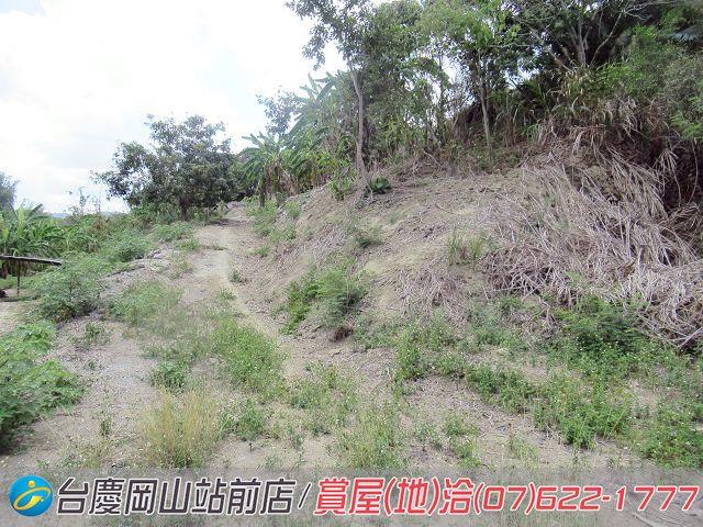 燕巢農地-2