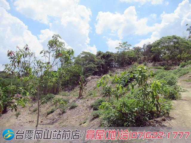 燕巢農地-3