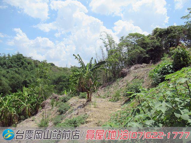 燕巢農地-4