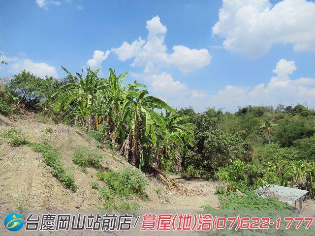 燕巢農地-5