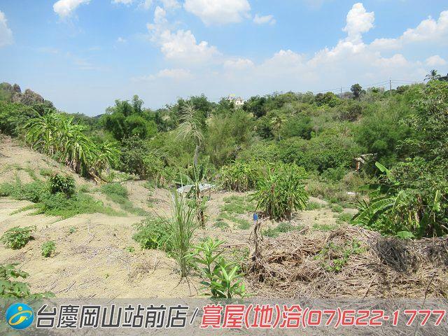 燕巢農地-7