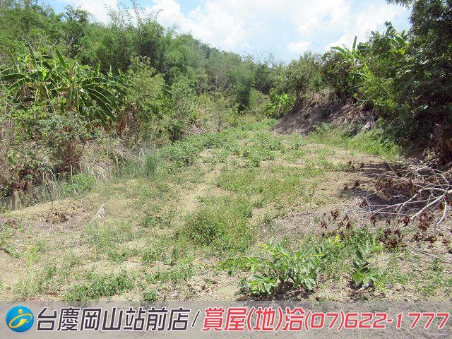 燕巢農地-8