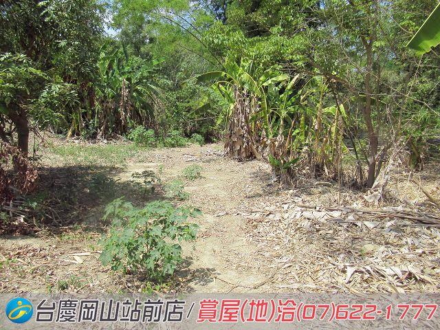 燕巢農地-9