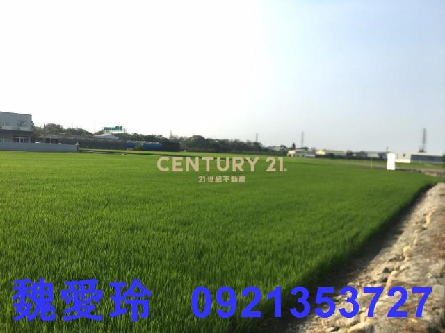 南投農地-1