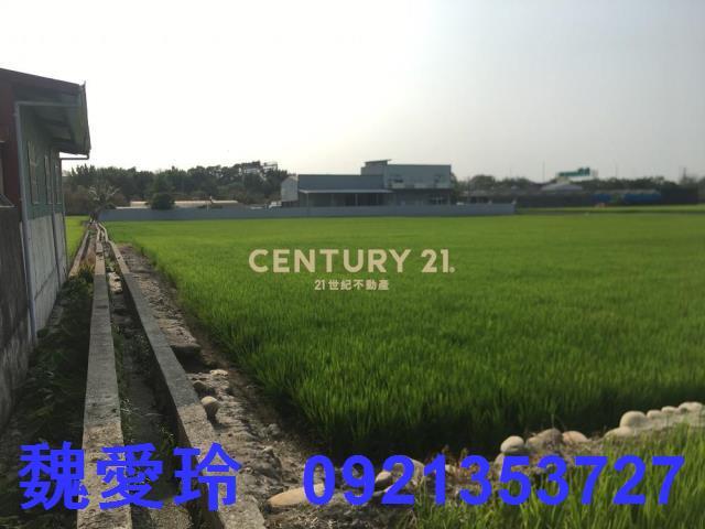 南投農地-2