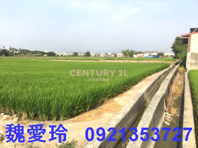 南投農地-7