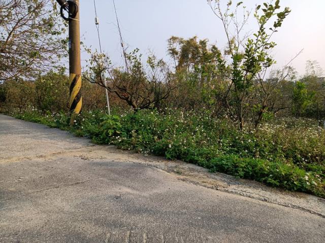 台中東勢農地-1