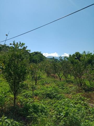 台中東勢農地-2