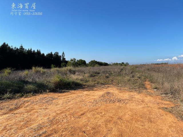 台中沙鹿山坡地-1