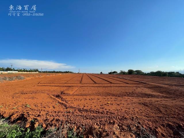 台中沙鹿山坡地-2